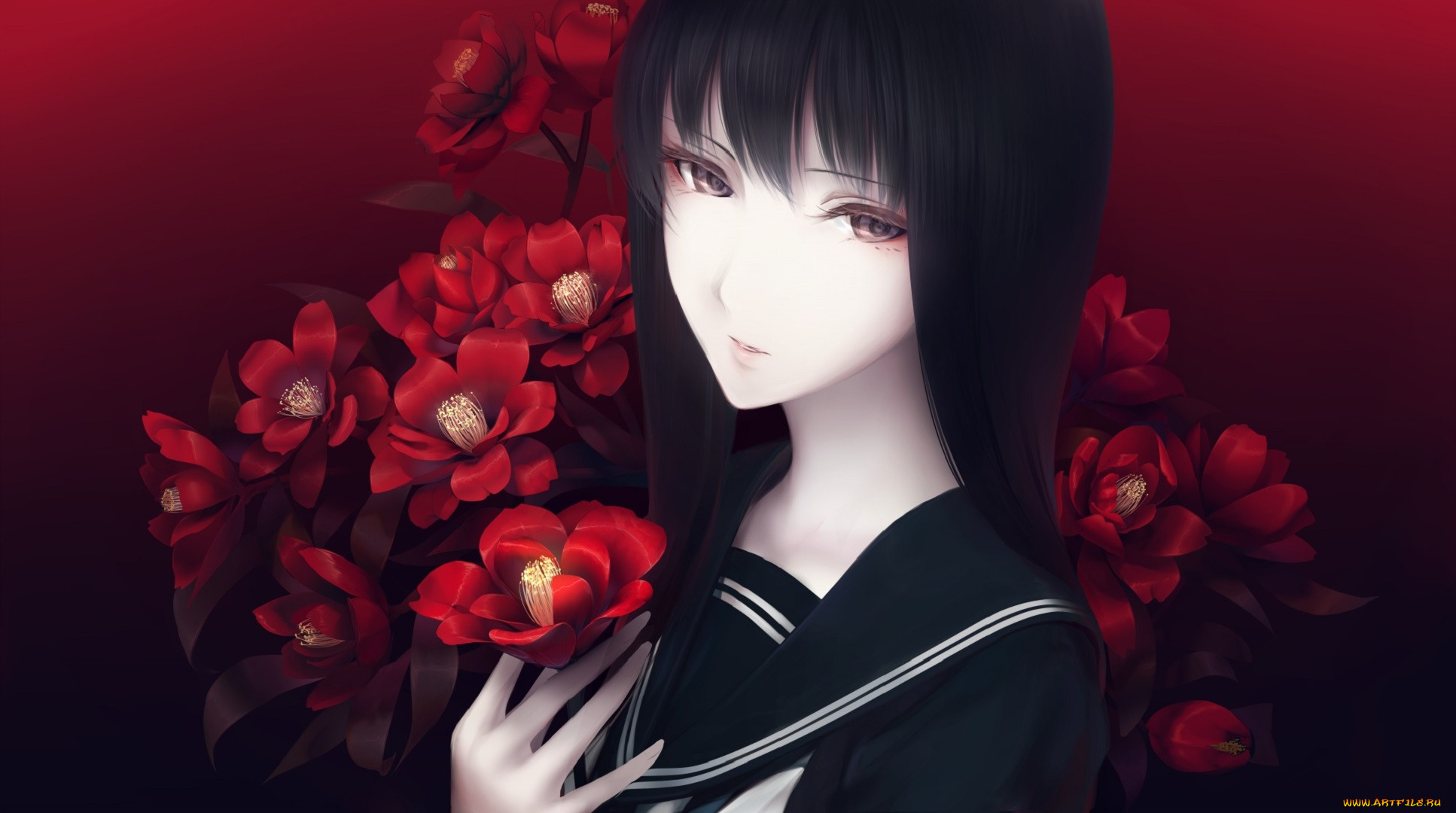 , unknown,  , , , , 